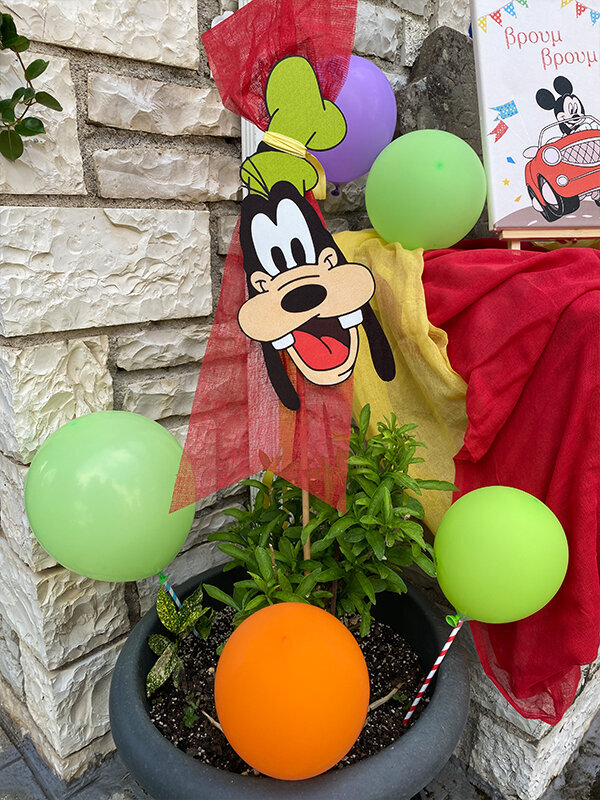 Mickey birthday party in Zagorochoria!