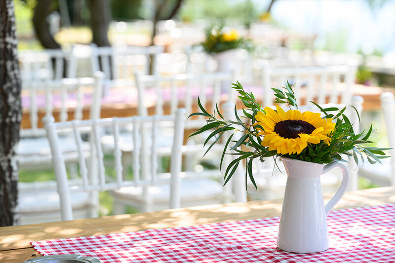 Destination wedding in the mountains!