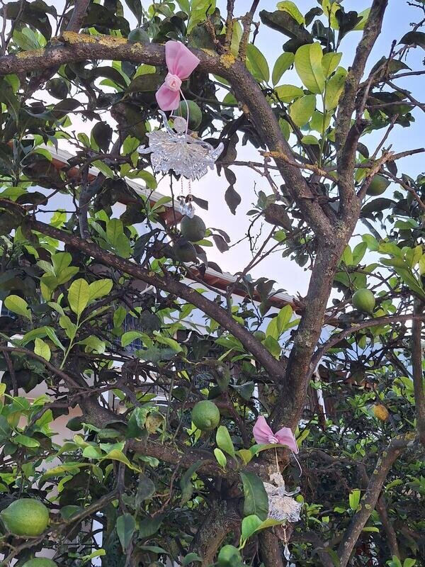 Ballerina birthday party!