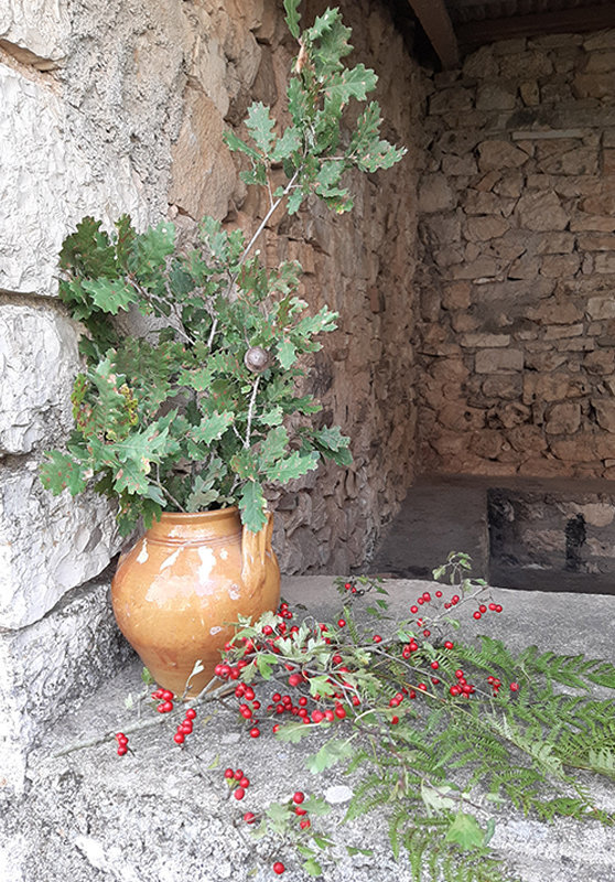 Φθινοπωρινή βάπτιση με ζωάκια του δάσους!