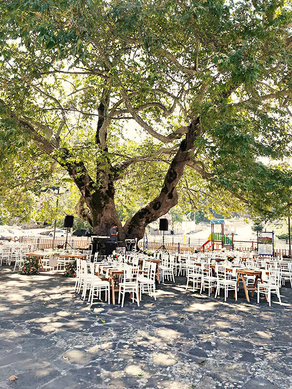 Destination wedding-baptism in Zagorochoria!