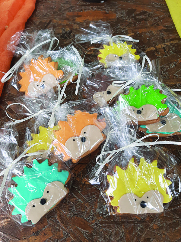 Hedgehog christening theme!