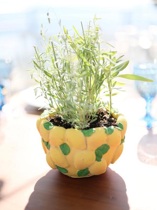 Lemon baptism!