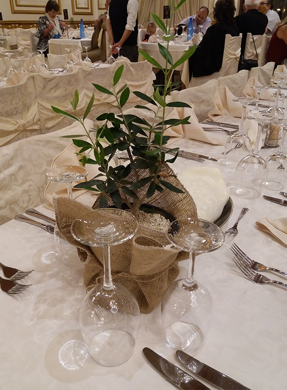 Olive themed wedding in Zagorochoria!