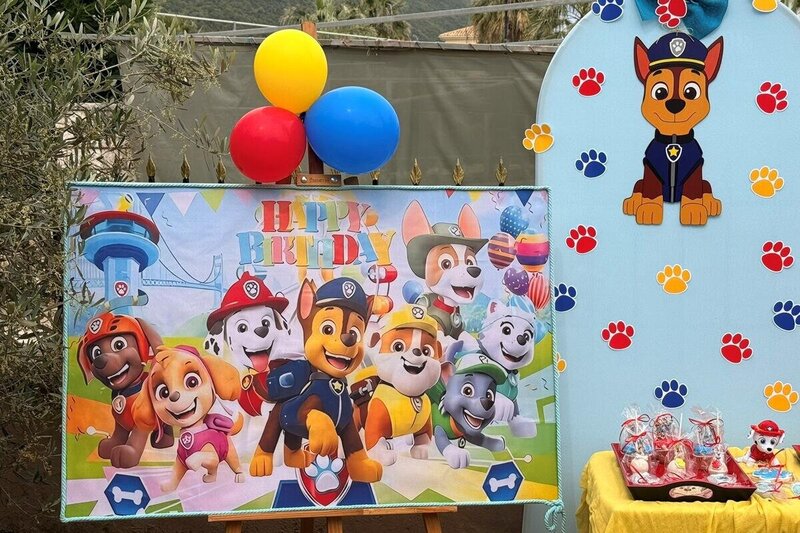 Paw patrol birthday party!