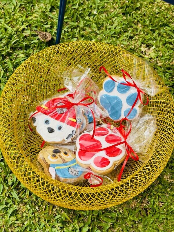 Paw patrol birthday party!
