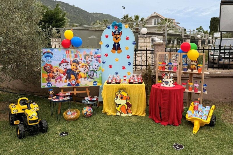 Paw patrol birthday party!