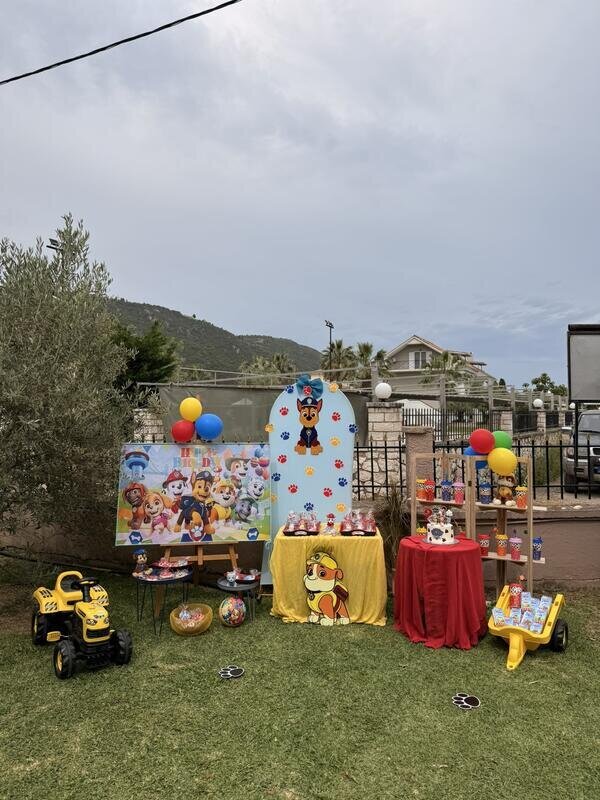 Paw patrol birthday party!