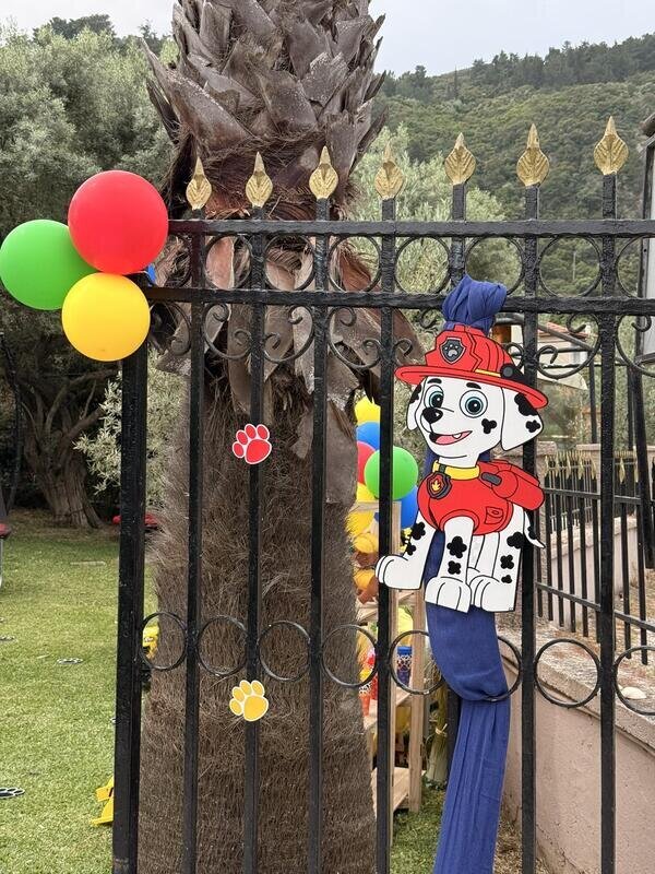Paw patrol birthday party!