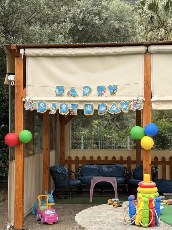 Paw patrol birthday party!
