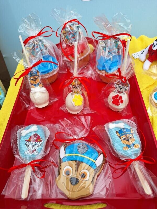 Paw patrol birthday party!