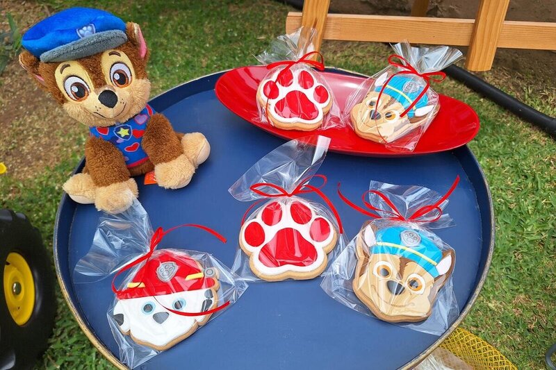 Paw patrol birthday party!
