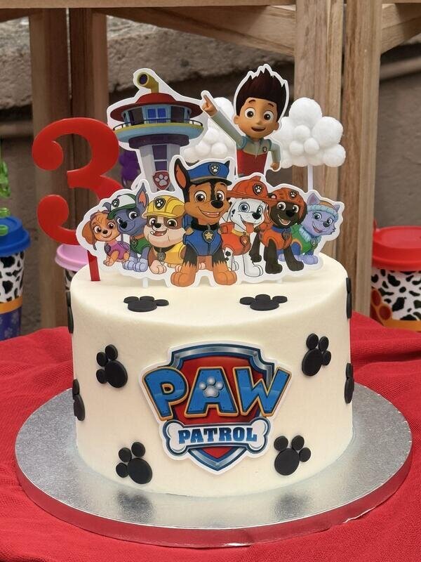 Paw patrol birthday party!