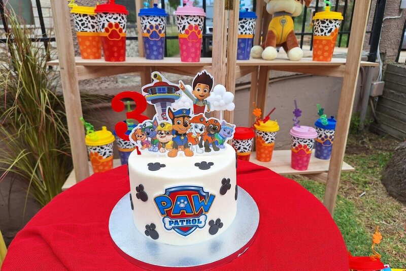 Paw patrol birthday party!