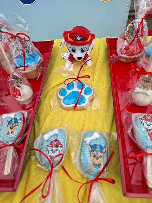 Paw patrol birthday party!
