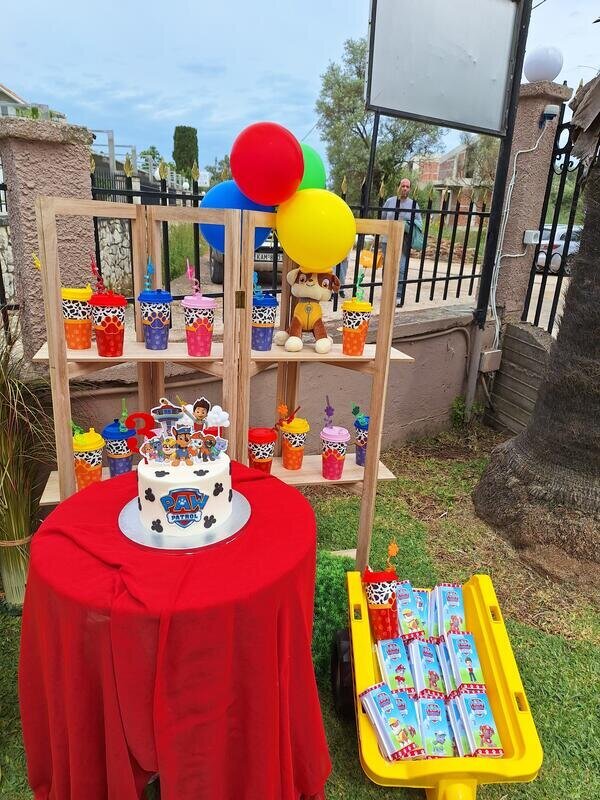Paw patrol birthday party!