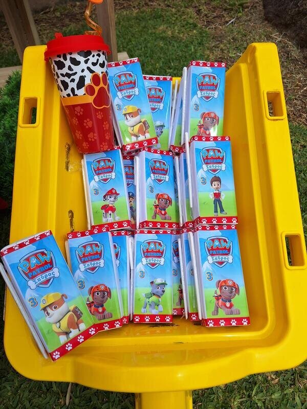Paw patrol birthday party!