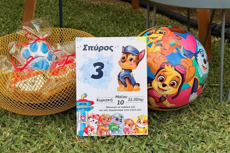 Paw patrol birthday party!