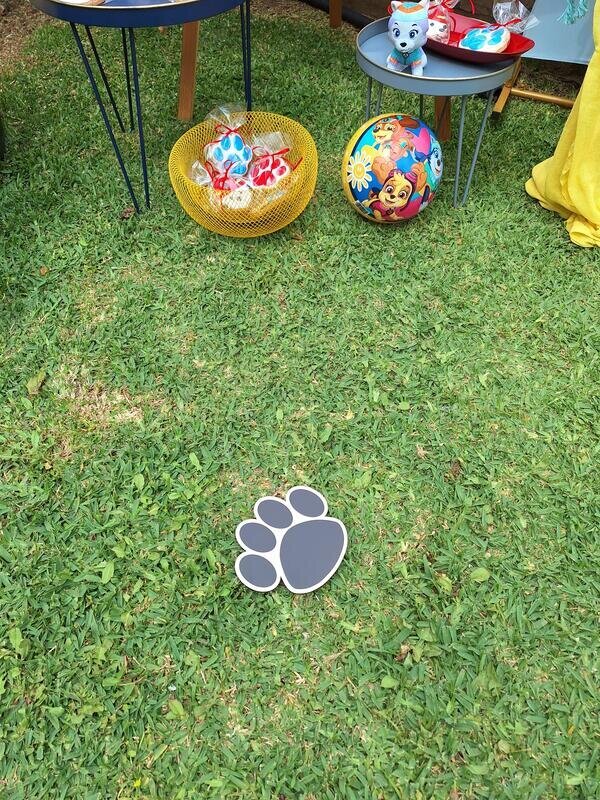 Paw patrol birthday party!