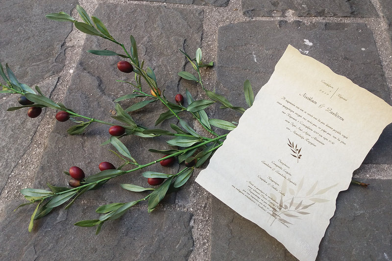 Olive themed wedding in Zagorochoria!